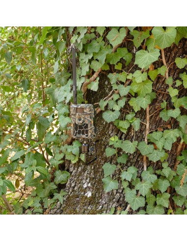 Piège photographique 4G ULTRA HD 24MP SHOT4