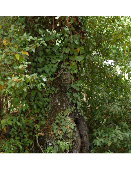 Piège photographique 4G ULTRA HD 24MP SHOT4