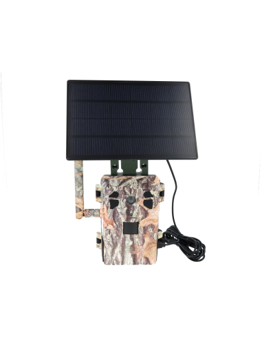 Caméra de chasse piège vidéo 4G ULTRA HD avec...