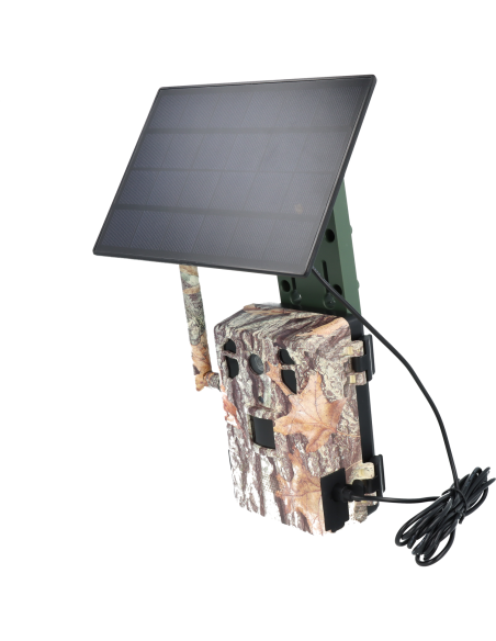 Caméra de chasse piège vidéo 4G ULTRA HD avec panneau solaire camo automne