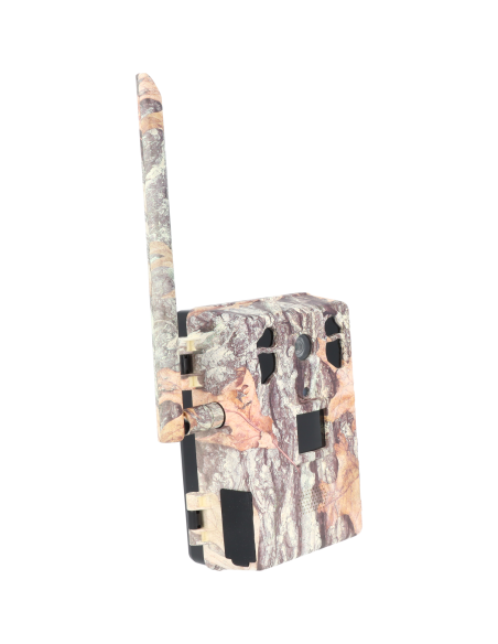 Caméra de chasse piège vidéo 4G ULTRA HD avec panneau solaire camo automne