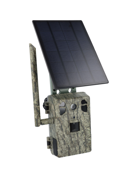 Caméra de chasse piège vidéo 4G ULTRA HD avec panneau solaire camo vert