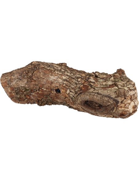 Caméra ULTRA HD 4MP cachée dans une bûche de bois pour Mini-CASE