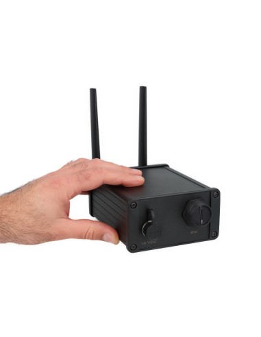 Mini enregistreur vidéo intelligent 4G liaison...