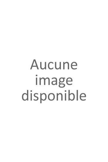 Boitier alimentation 12V4A 4sorties pour videosurveillance